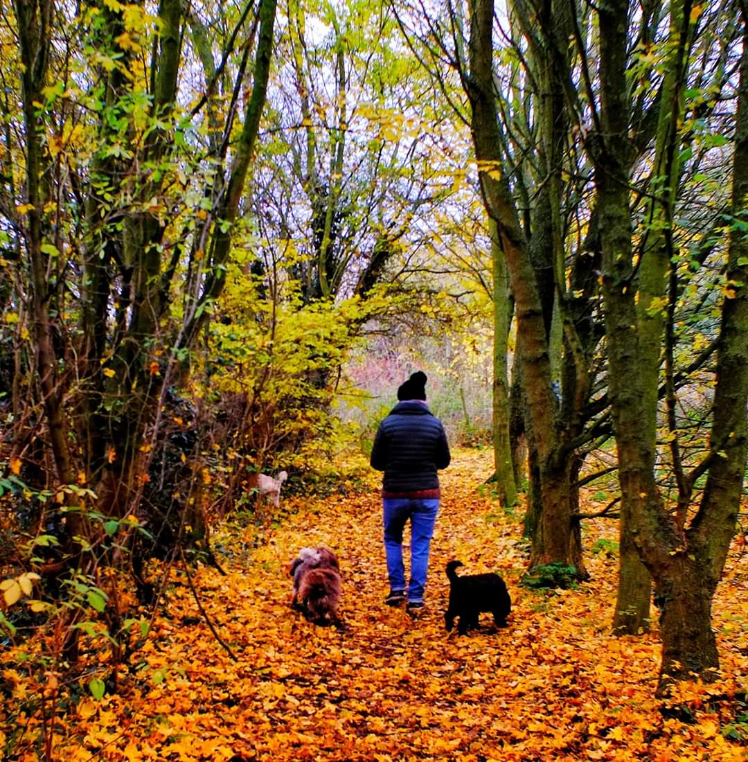 autumn